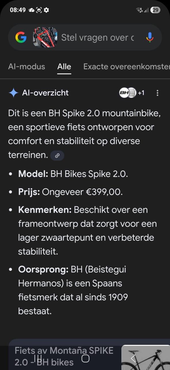 Mountainbike 29 inch