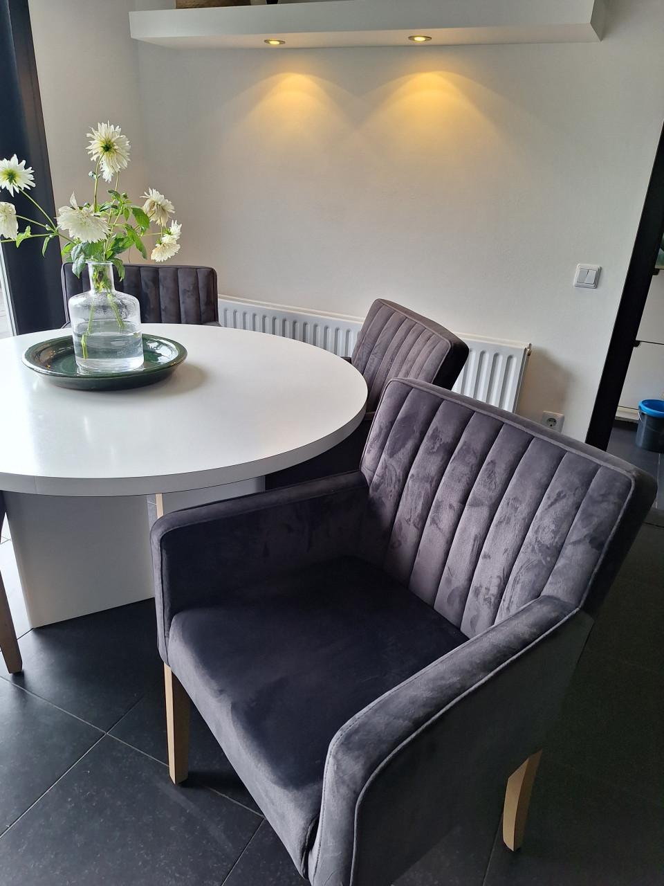 Landelijke Eetkamerstoelen grijs/velvet