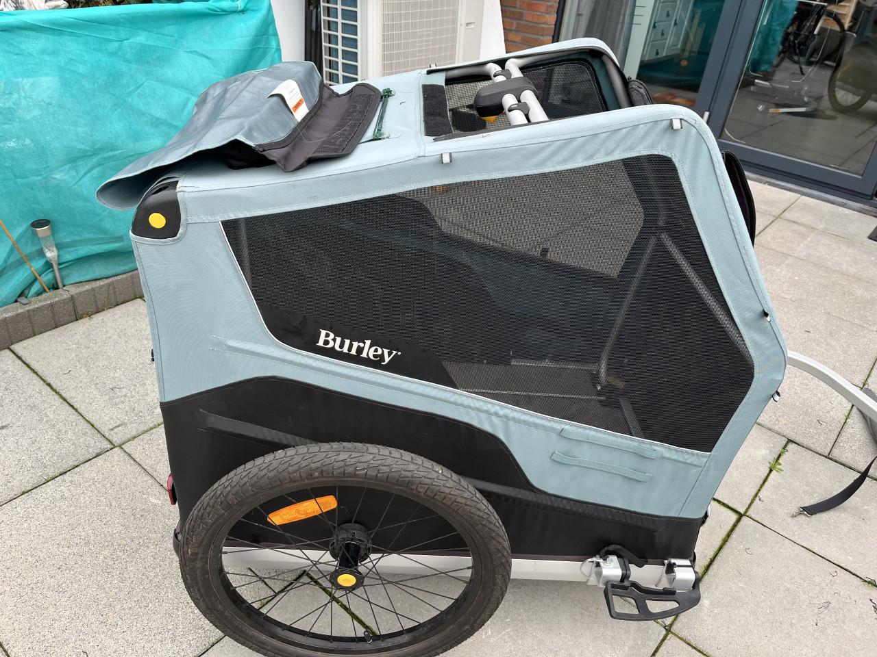Bruly ranger xl
