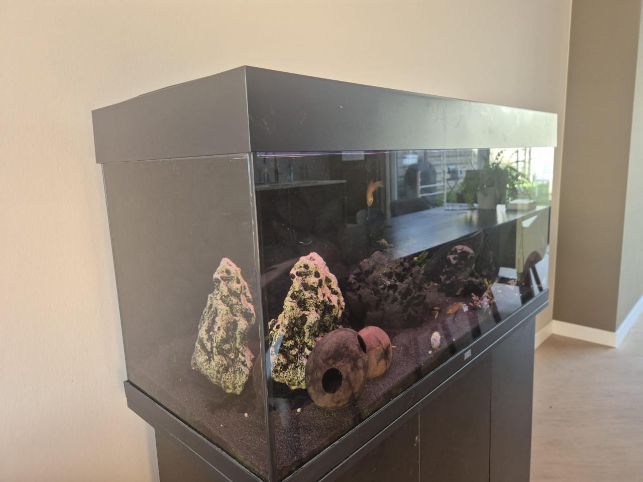 Te koop: Juwel aquarium met onderkast, vissen en verlichting