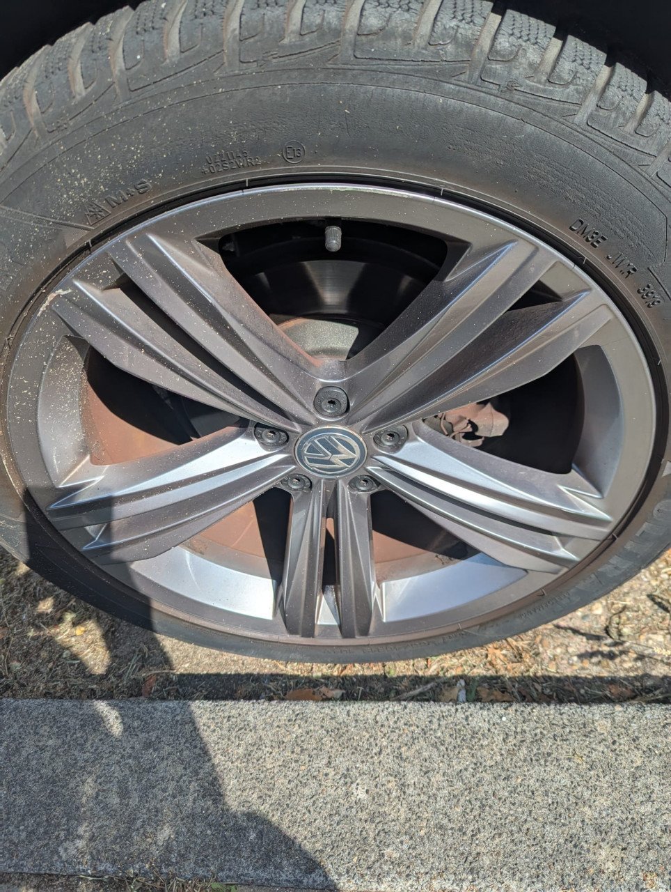 Tiguan 2019 Sebring R line velgen 19*