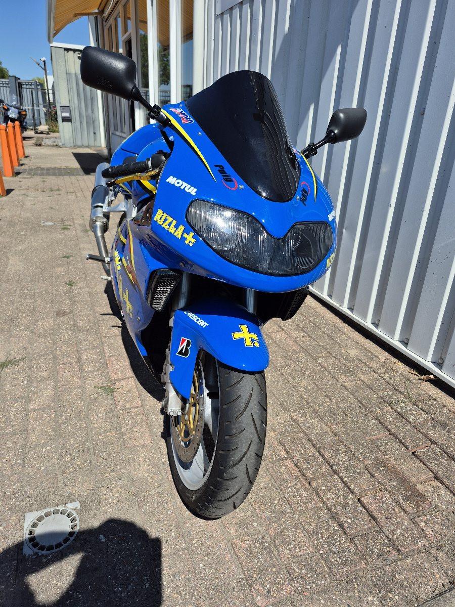 Suzuki TL1000R Rizla special, dikke superbike