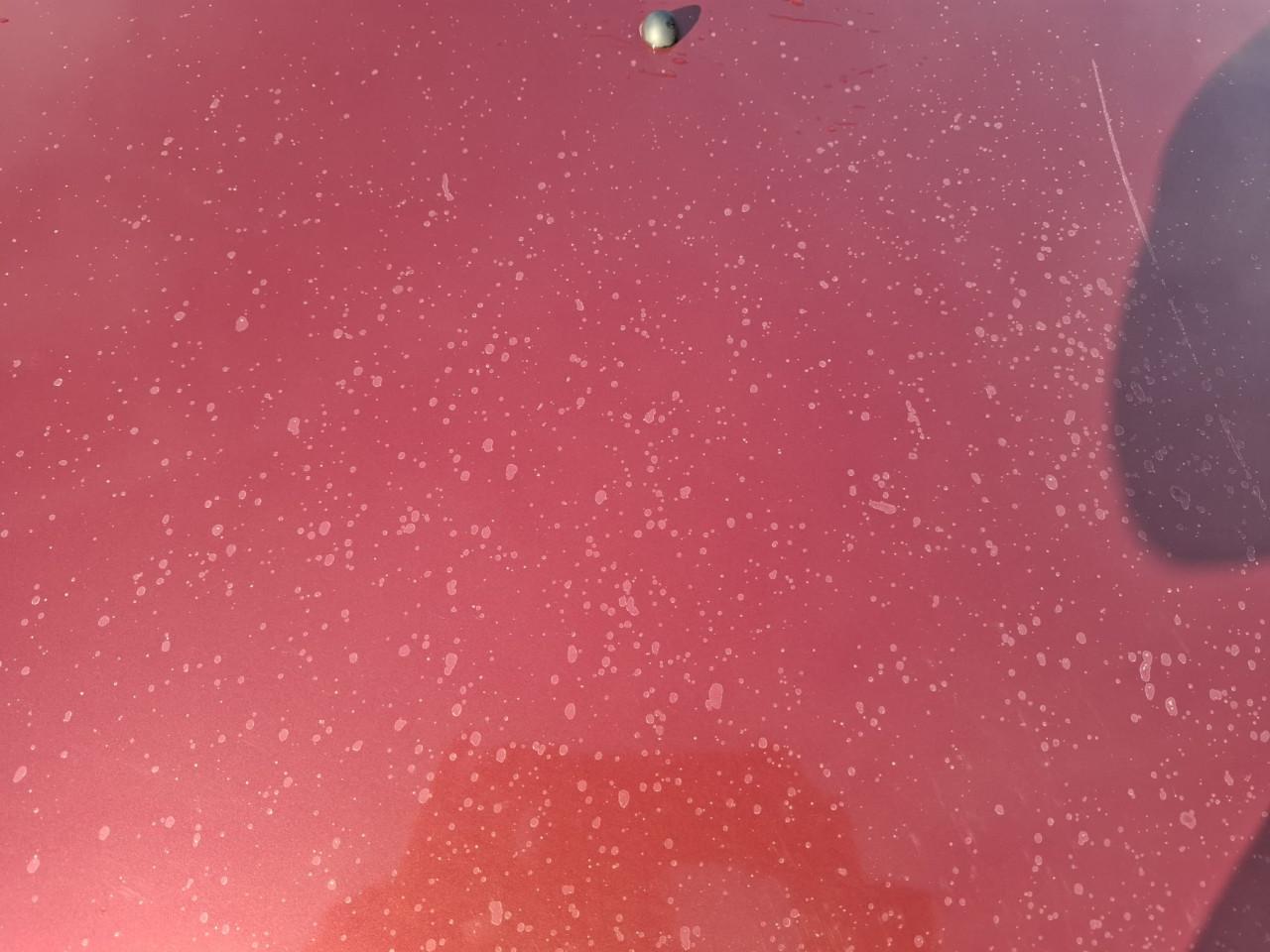 Daihatsu sirion AUTOMAAT