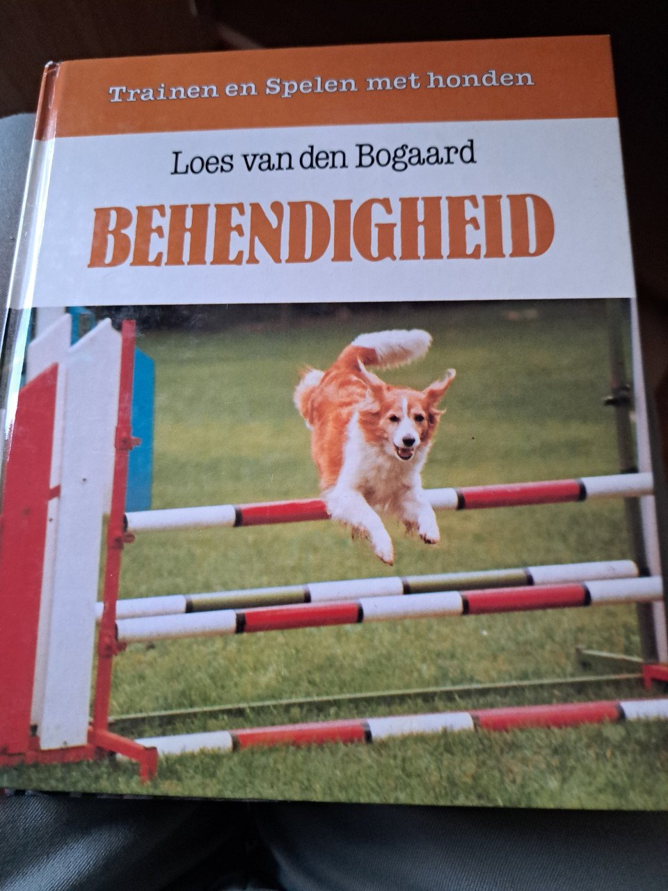 Reddingshonden,behendigheid, speuren van hondenen gedrag en gehoorzaamheid