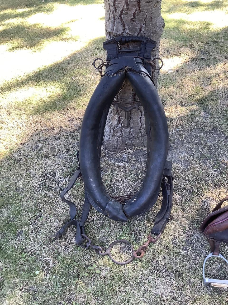 Paarden zadel en Juk