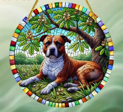 Raamhanger hond stafford