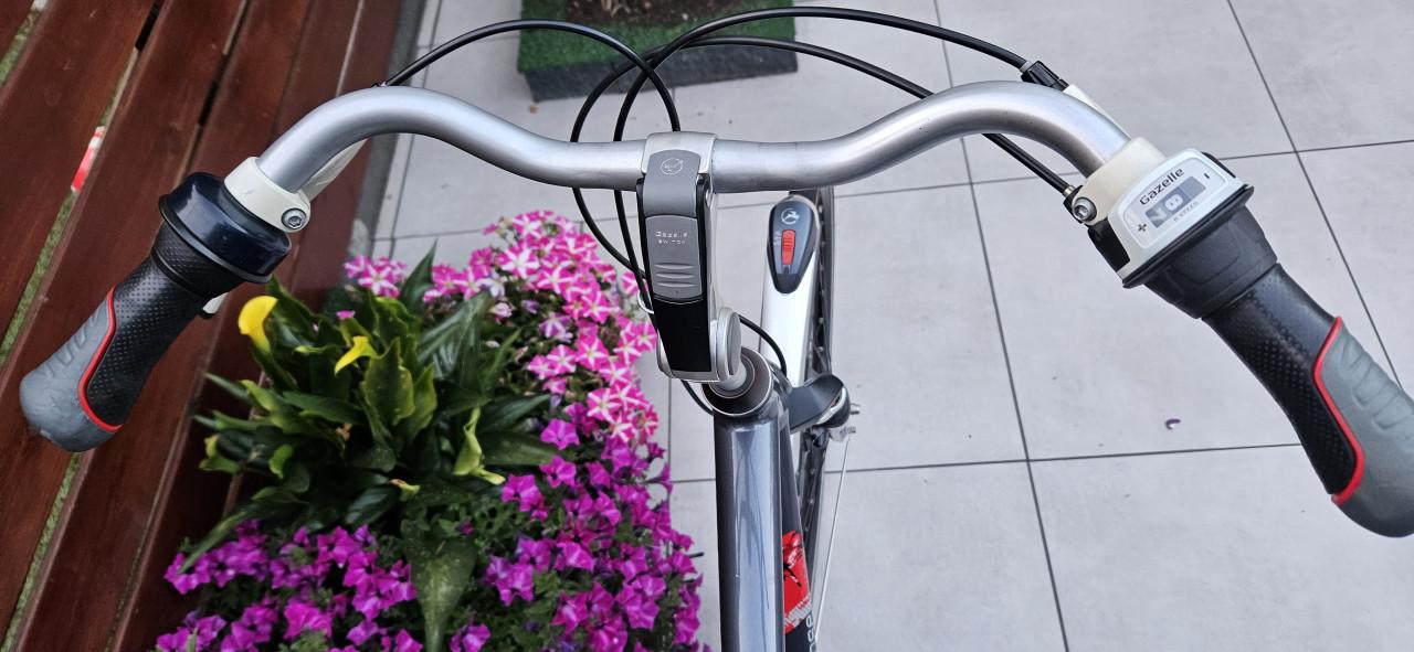 Gazelle Eclipse Limited 65 cm Herenfiets