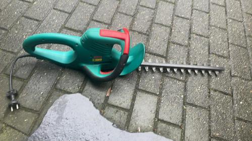 2 heggescharen