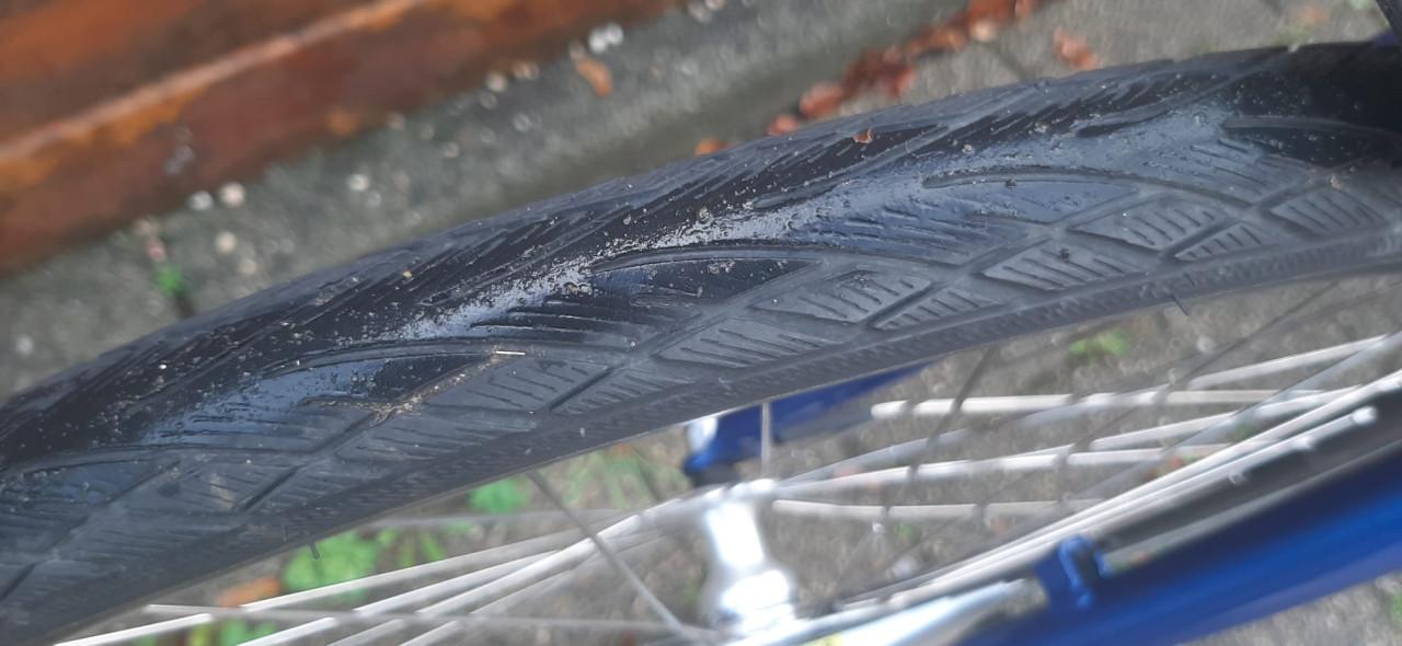Batavus Dinsdag