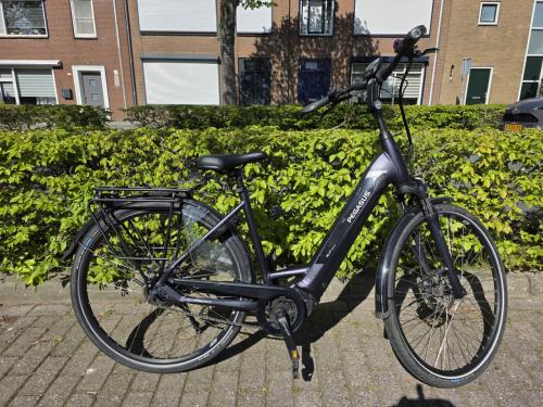 Keurig nette Pegasus met Bosch Performance middenmotor en 500wh accu