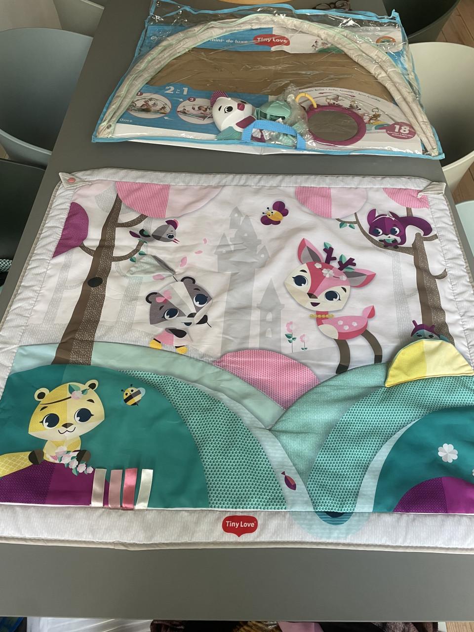 Babygym speelkleed met licht en muziek