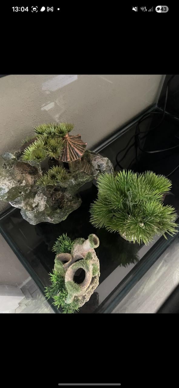 Complete aquarium set inc. Meubel en accessoires