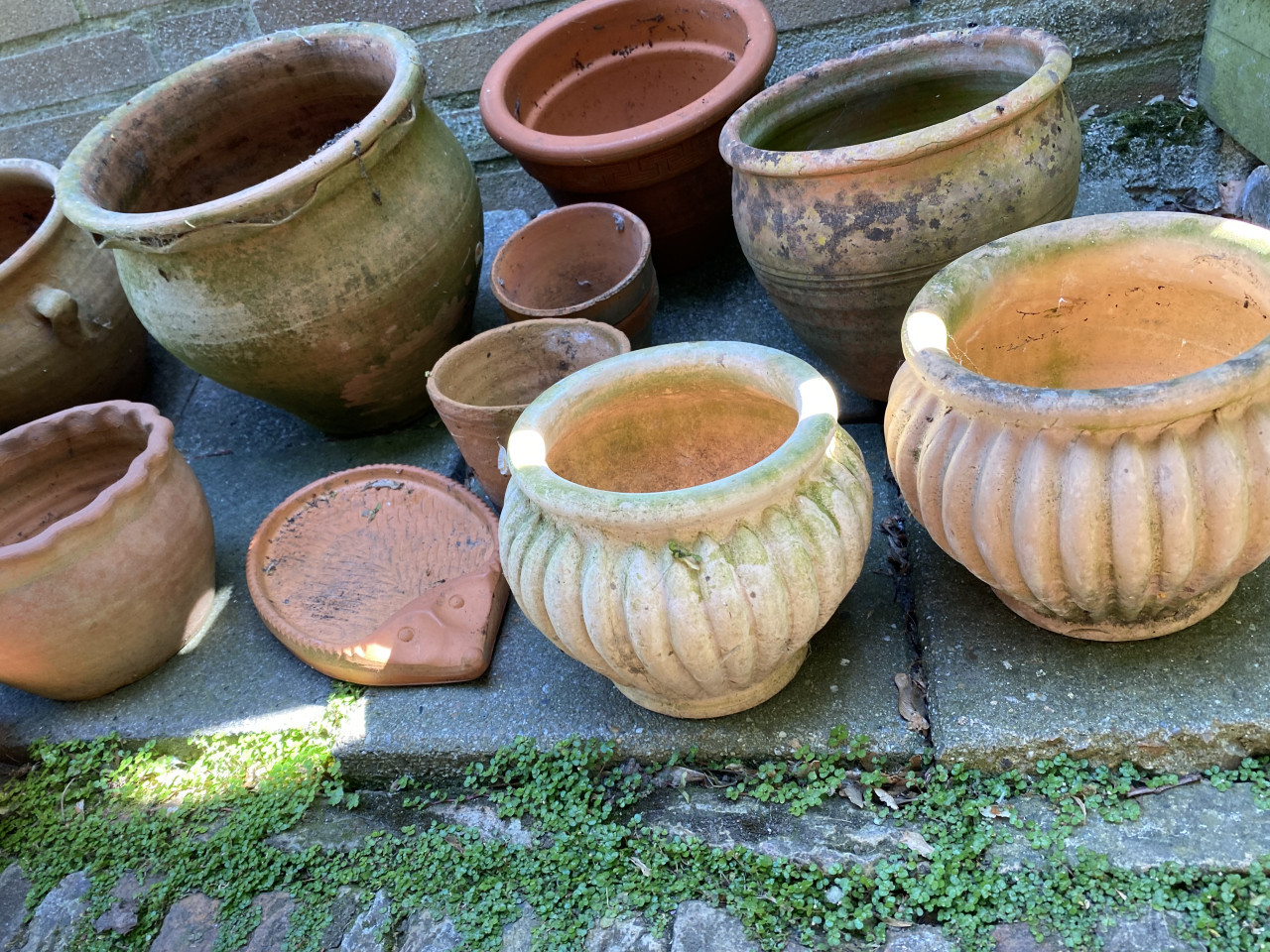 Bloempotten,schalen 25 stuks