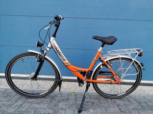 PEGASUS DAMESFIETS