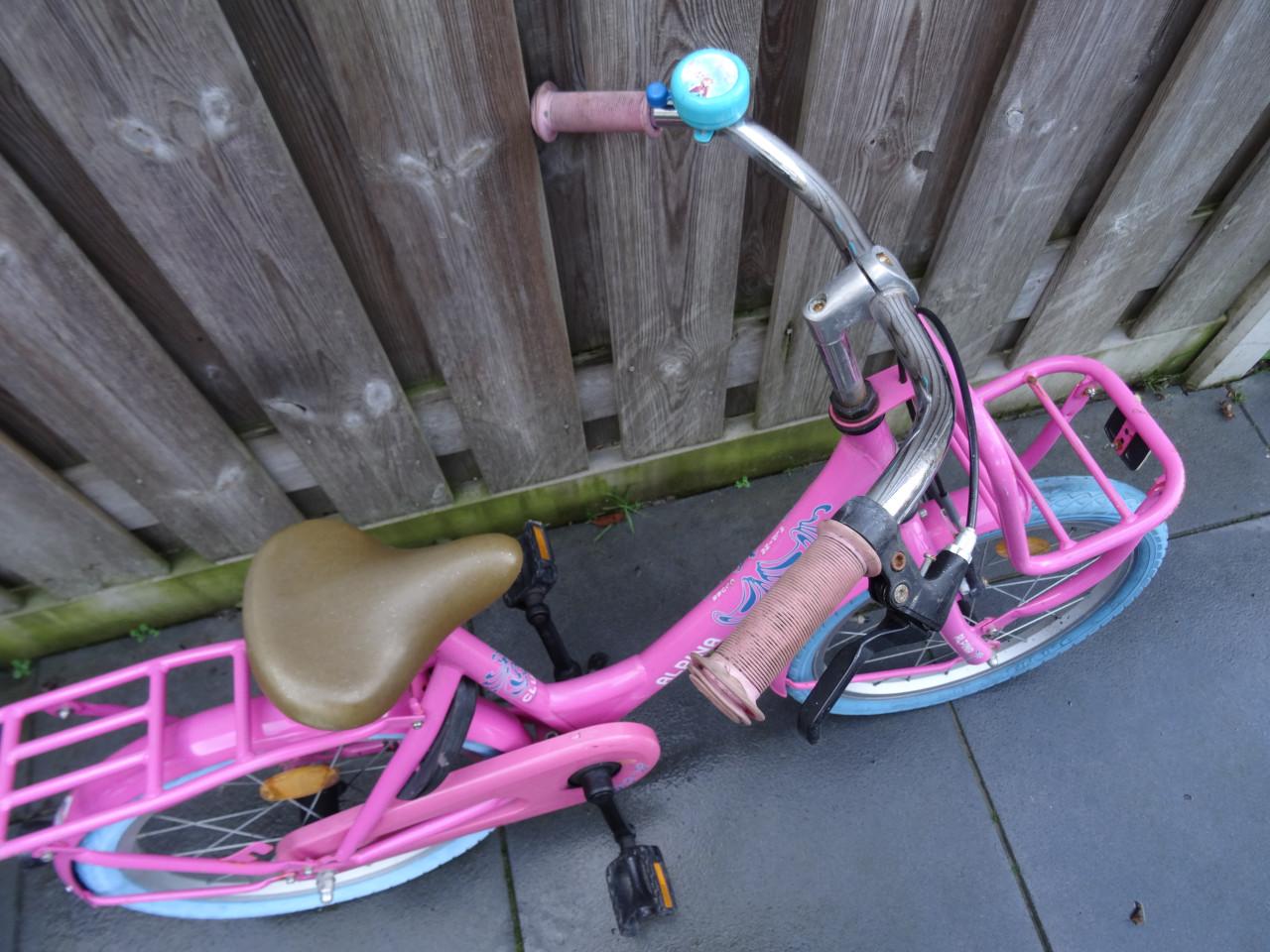 🚲💗 Alpina Clubb 18 inch meisjesfiets – Roze