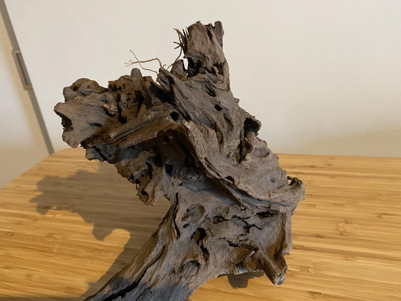 Mangrove hout voor in aquarium