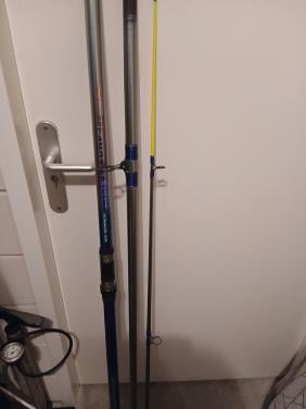 Zeehengel met molen