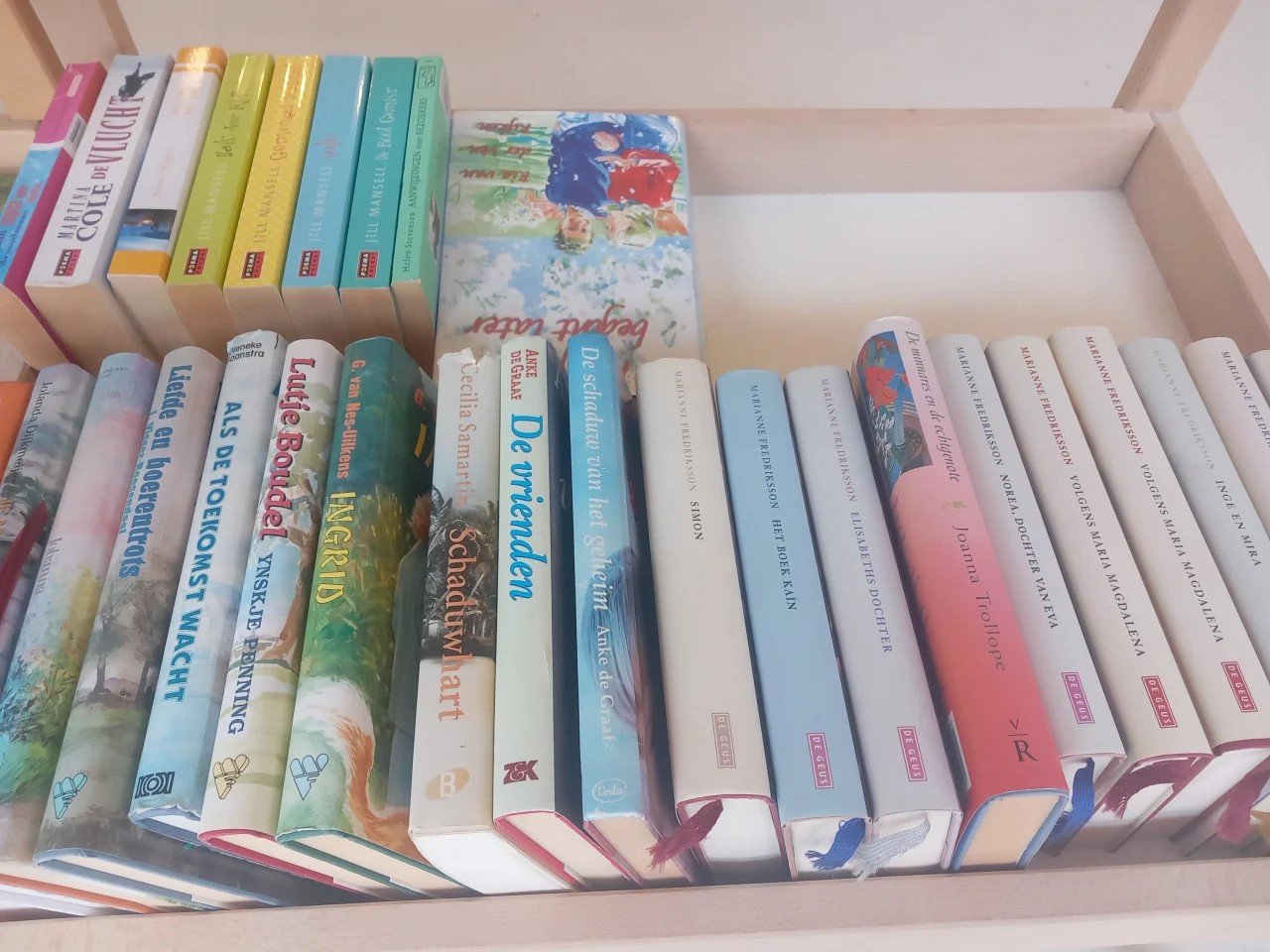 Boeken voor 1 euro per stuk