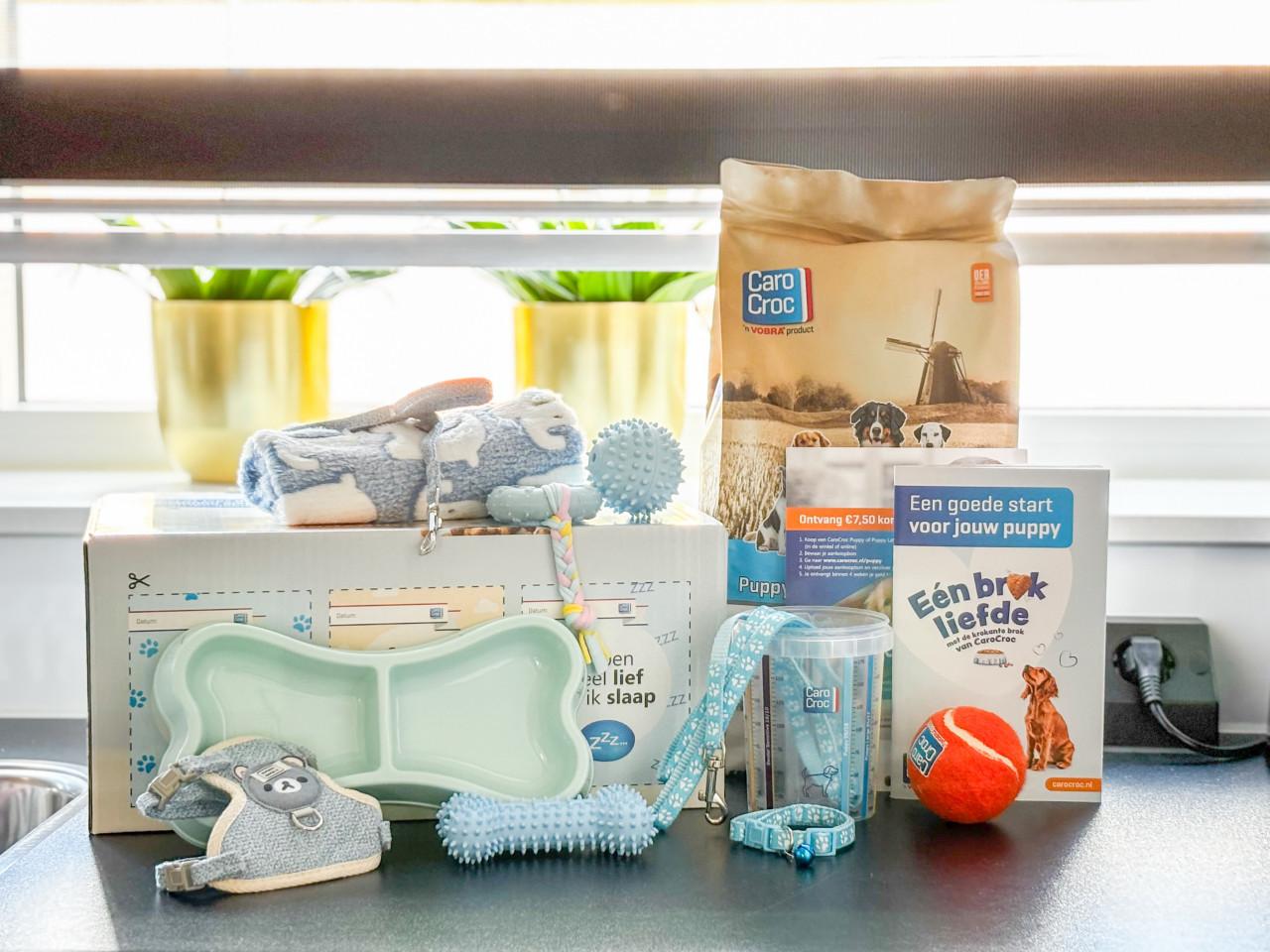 Laatste kaninchen Teckel pup