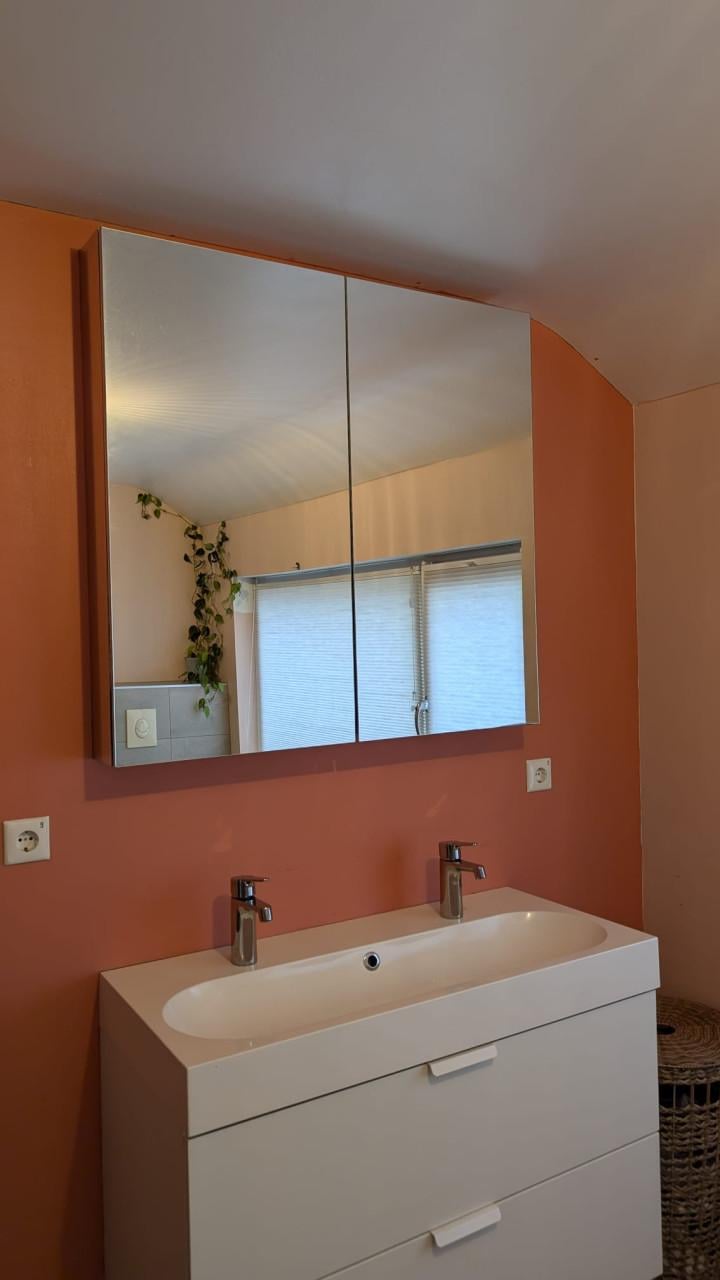 Wasmeubel + spiegelkast