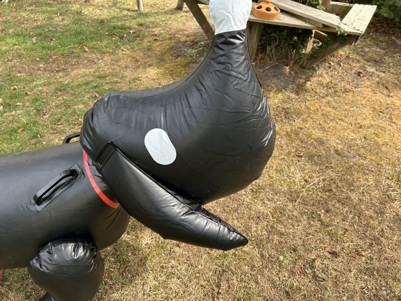 Hele grote Takkie, opblaas figuur.
