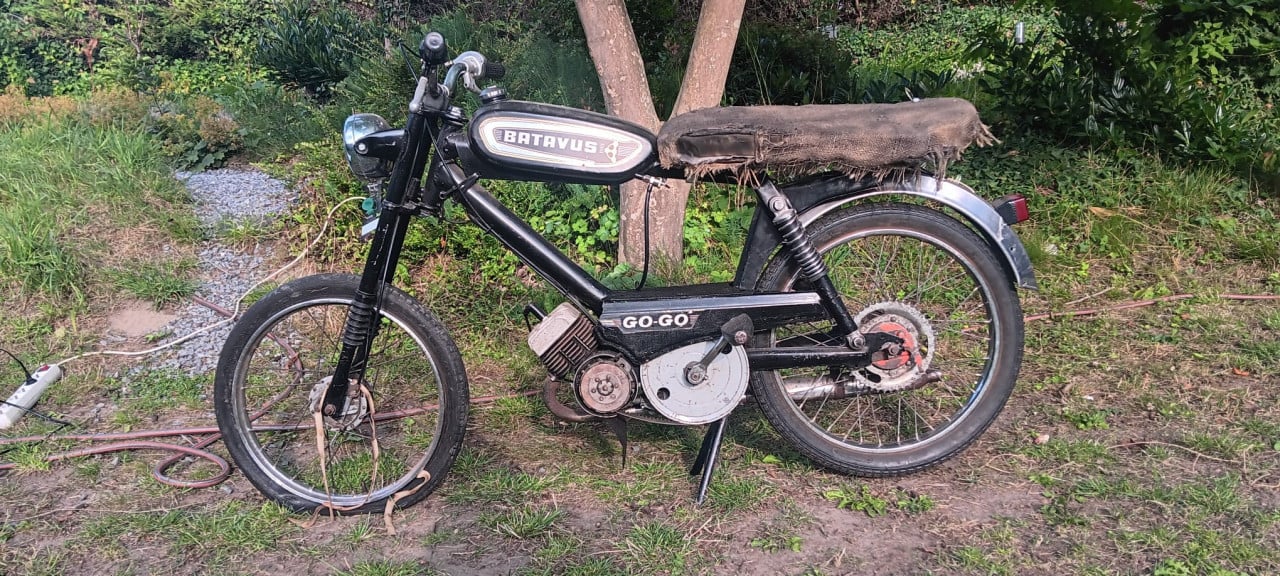 Te koop batavus gogo