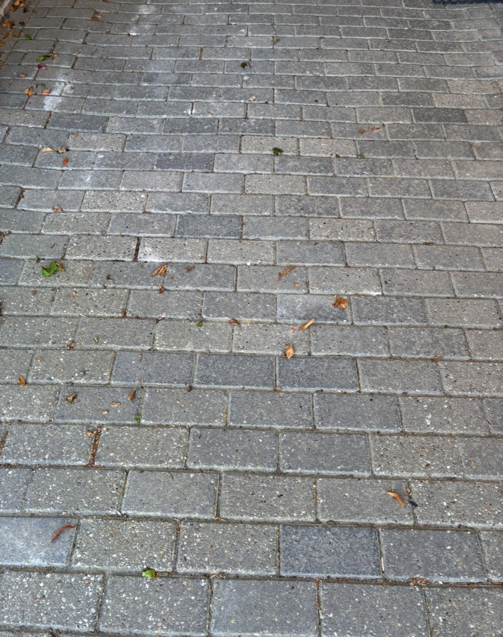 Gratis 12m2 grijze klinkers
