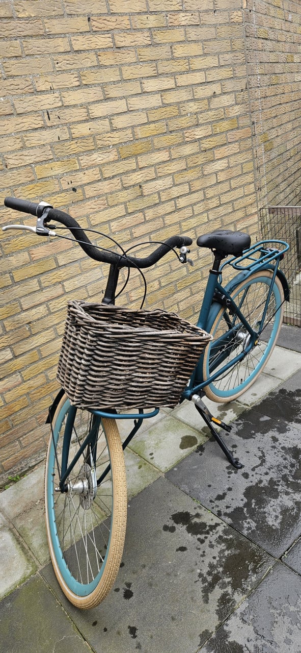 Batavus quip