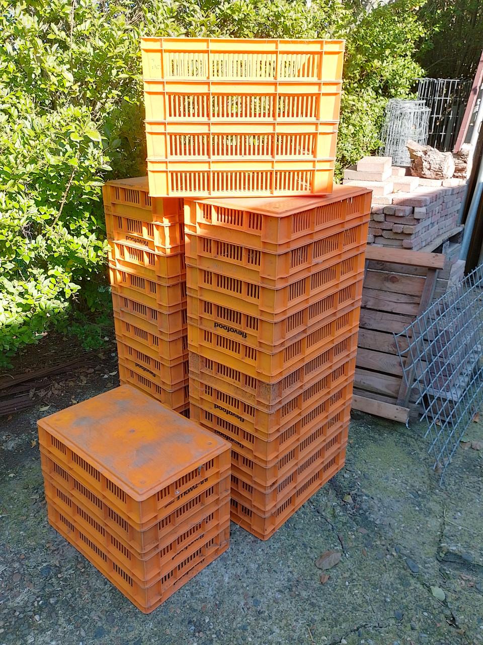 Kunststof kratjes 30 stuks