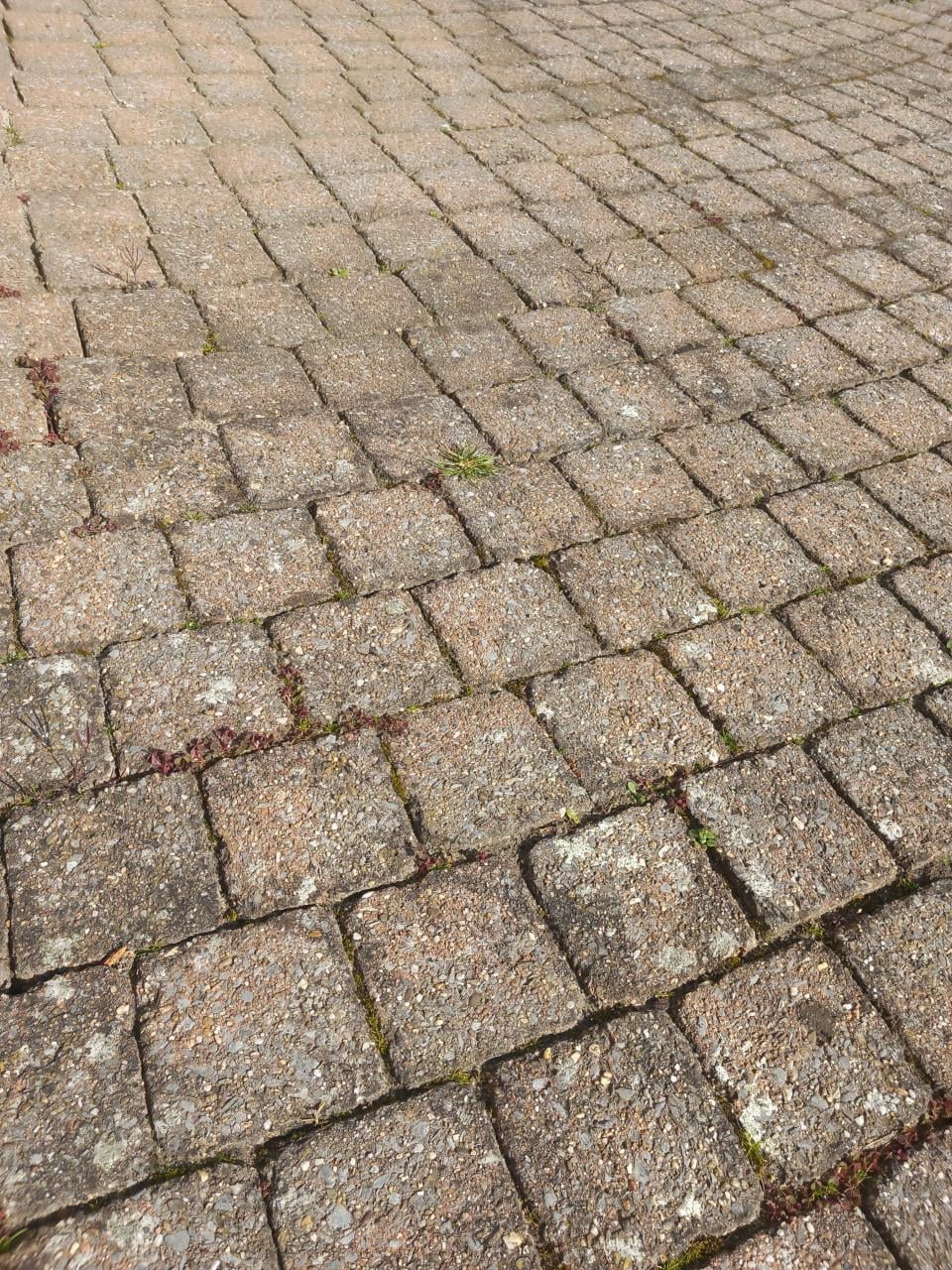 GRATIS ophalen ca. 40m2 klinkers (koppelstones)