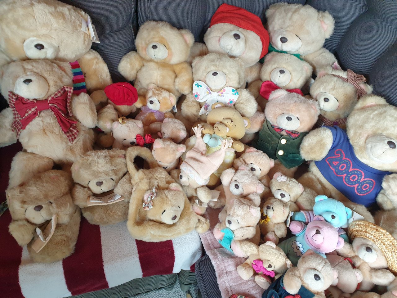 Te koop forever friends beertjes