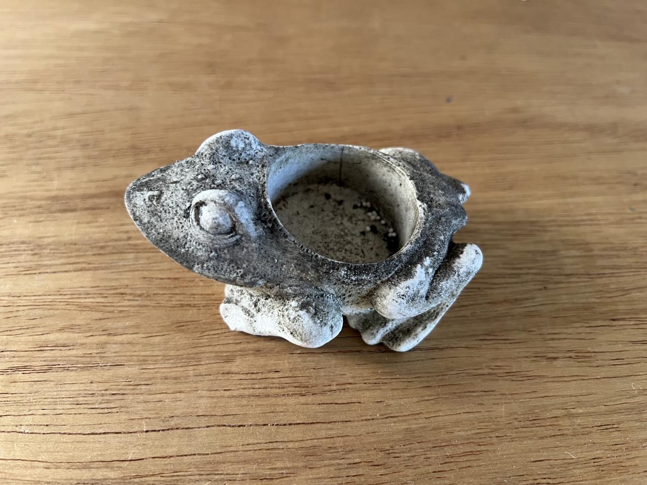 Verschillende waterornameten prijzen vanaf € 1,00