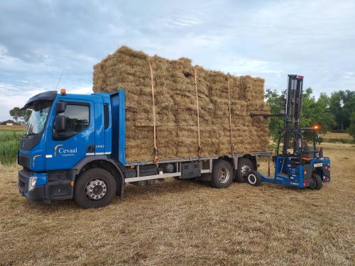 Weidehooi, Frans, Nederlands kruidenhooi