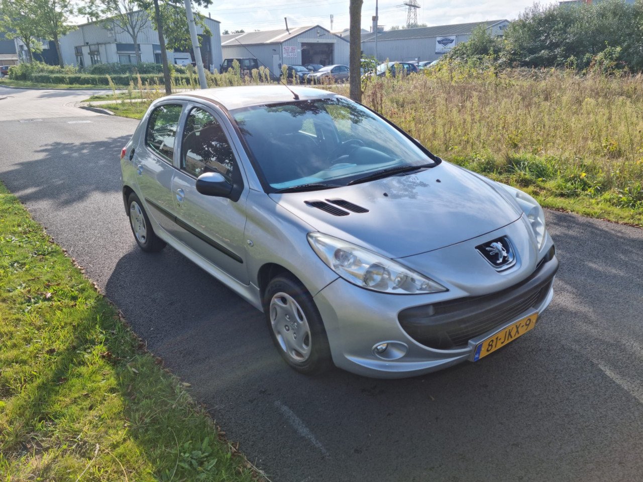 Peugeot 206 + 5 deurs 1.4i bj 2009 199000km