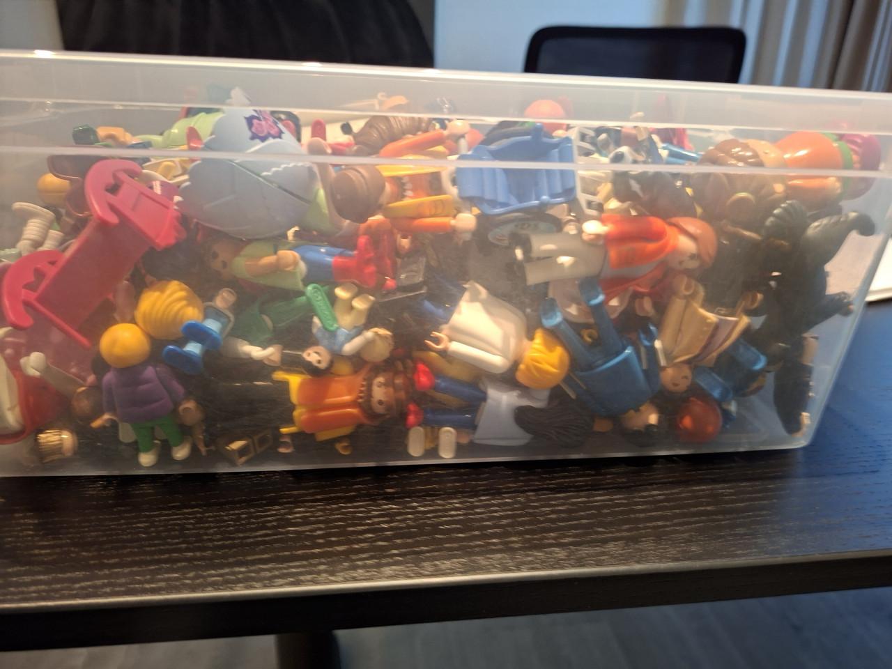 Playmobile grote partij