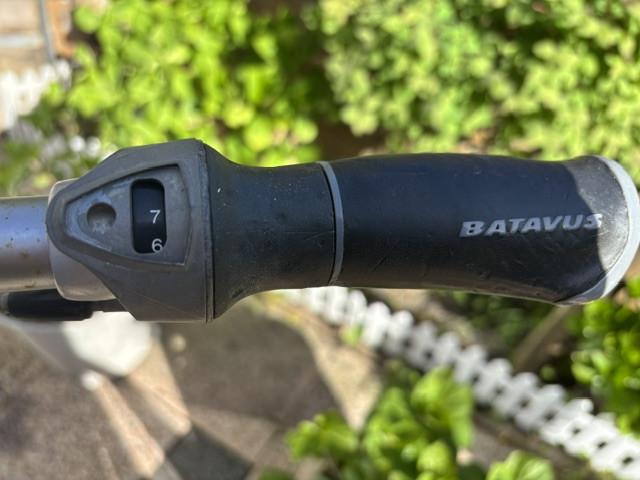 Batavus Crescendo damesfiets