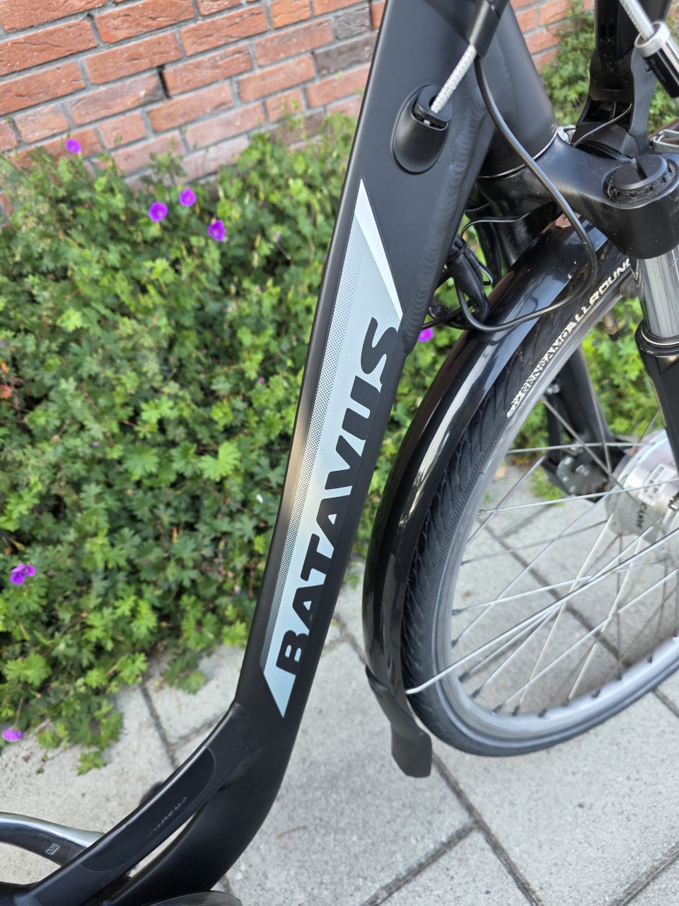BATAVUS | GENOVA | E-GO | E-BIKE | 28 INCH | FRAME 48 CM