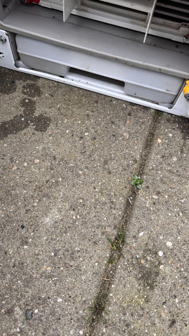 Zanussi condens droger