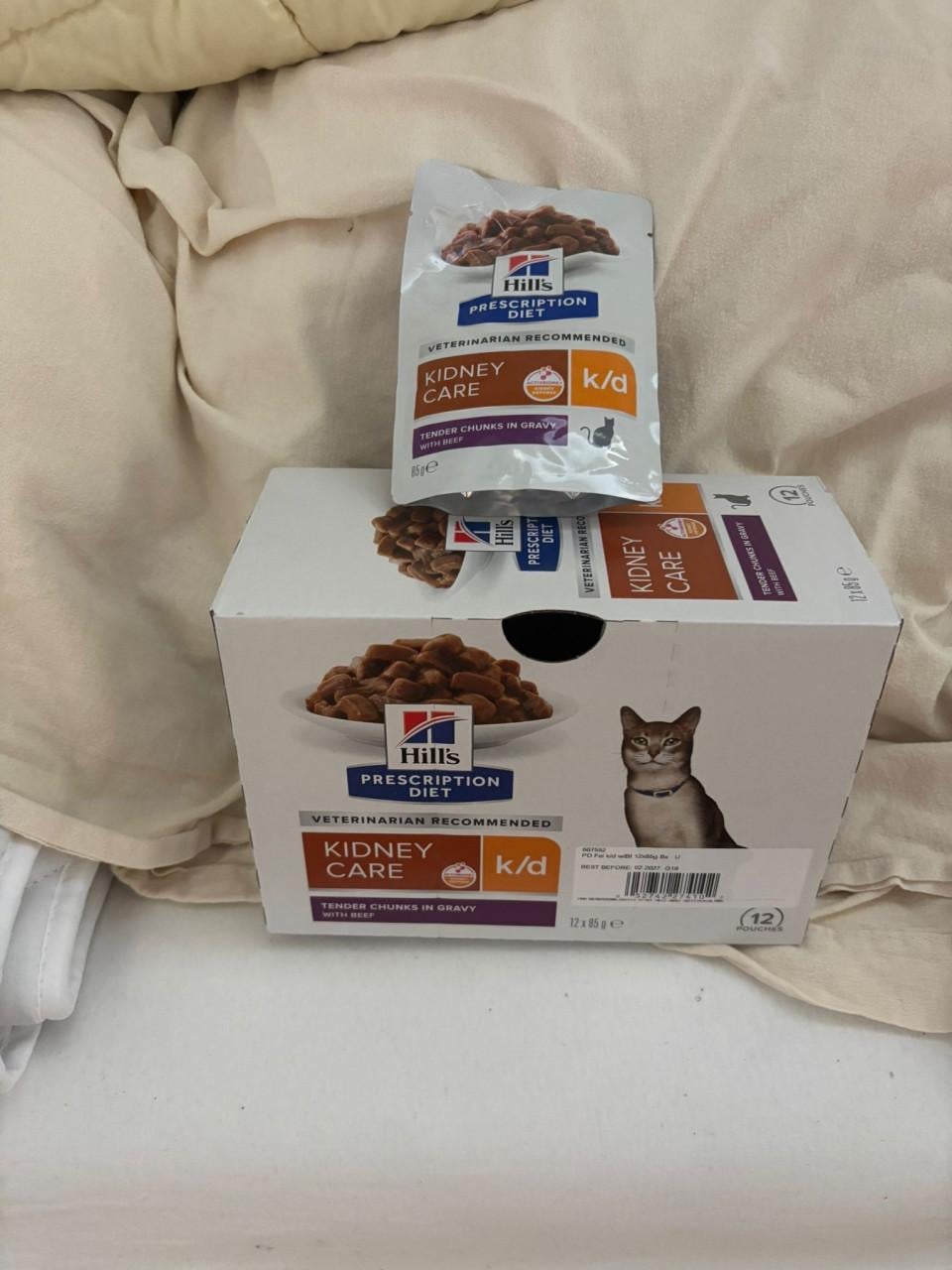 Dierenvoeding kat
