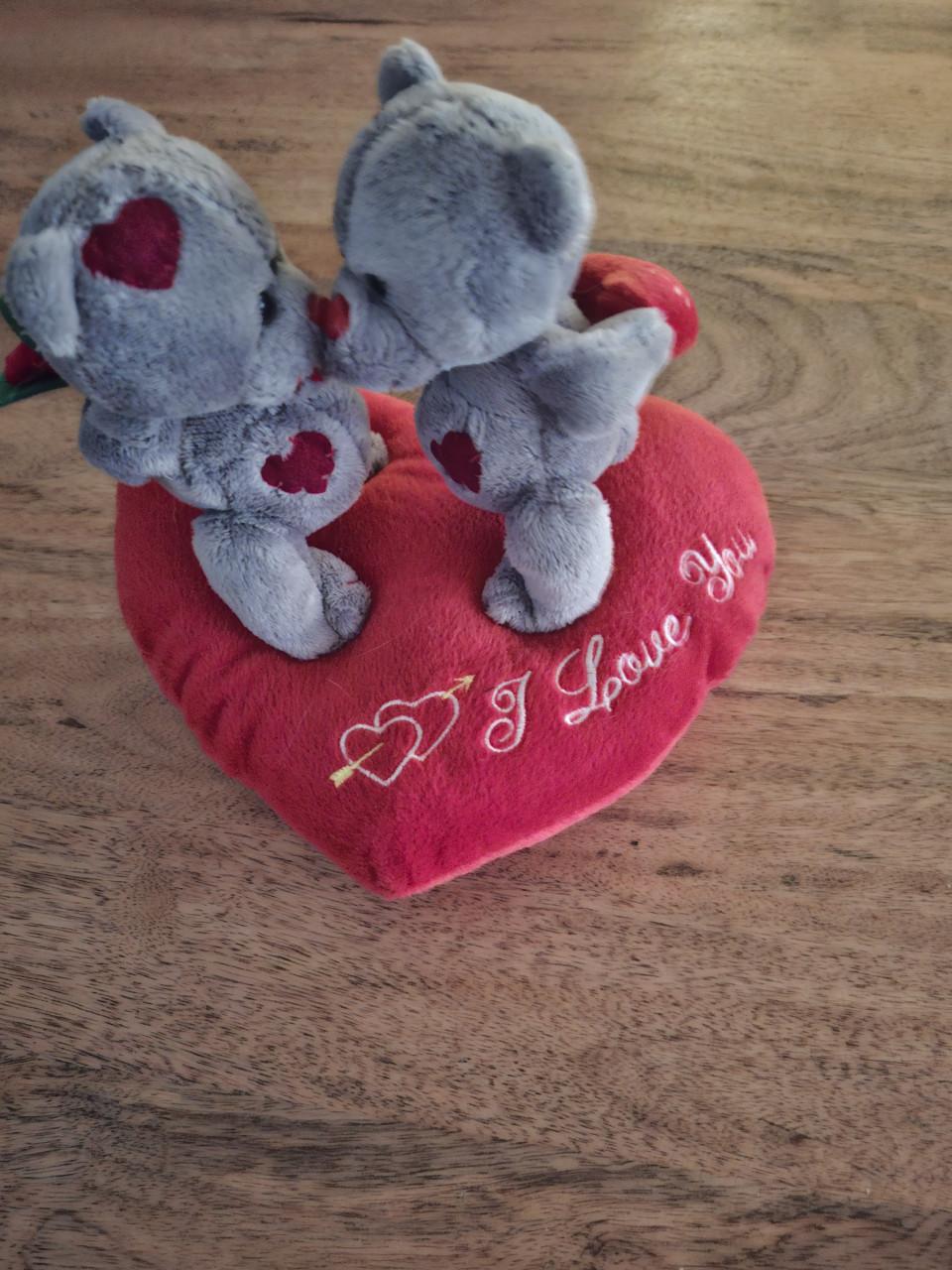 Kussentje met 2 schattige beertjes