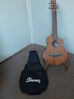 Ibanez EWP Series EWP12WB Electric Acoustic Travel Guitar