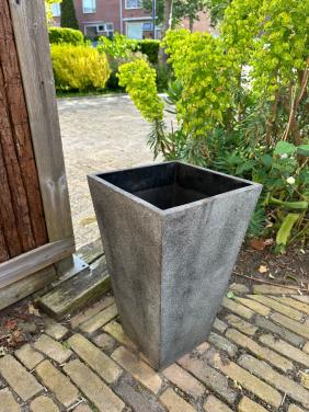 Plantenbak