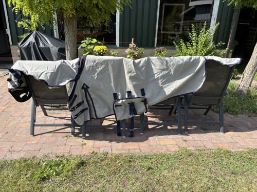 Paardenspullen