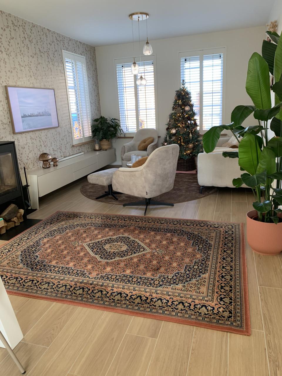 ✨Super Leuk Kleurrijk Vintage Vloerkleed✨Zuiver Scheerwol✨240 bij 170✨