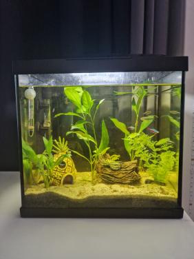 Aquarium startkit