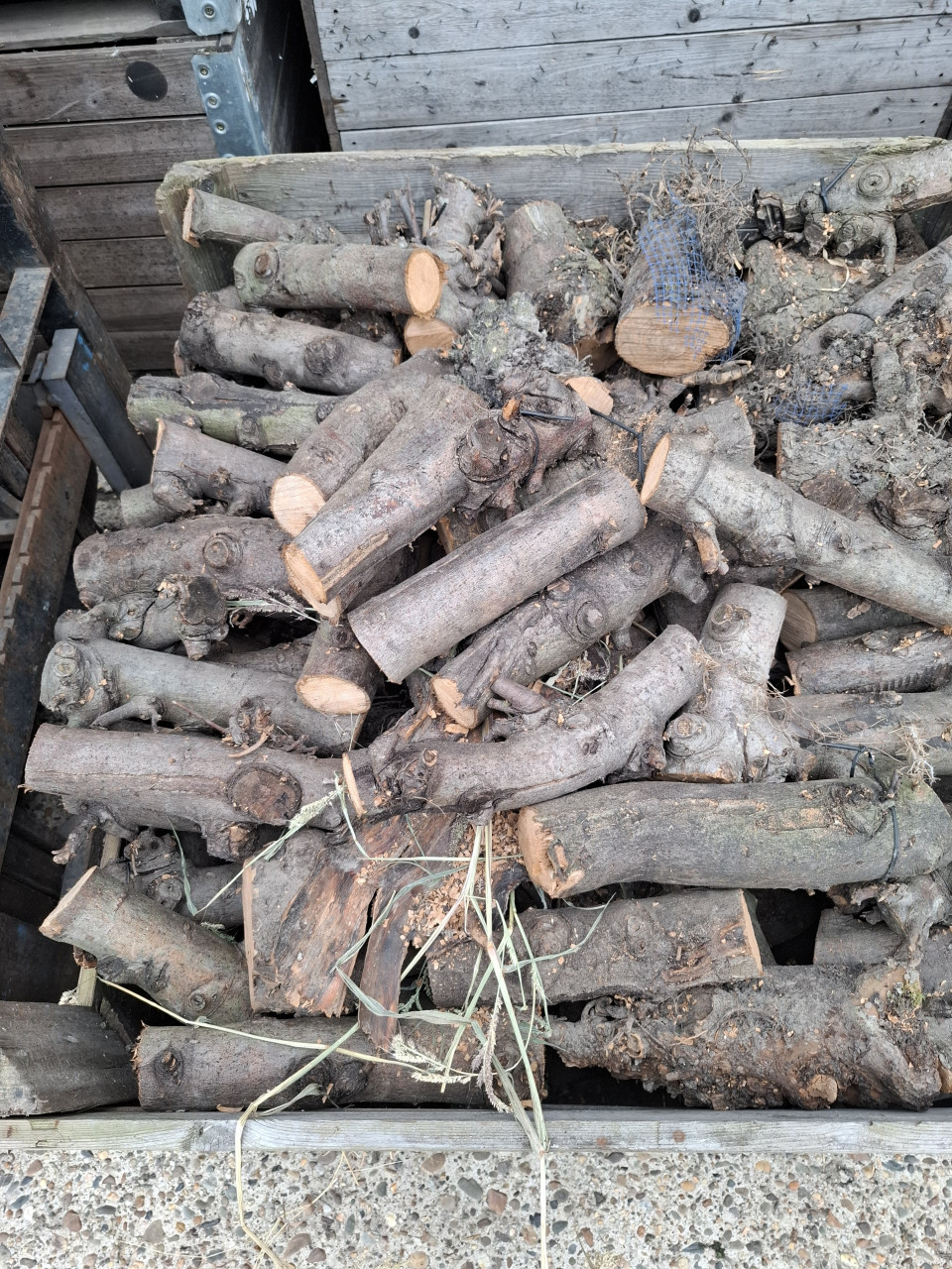 Droog fruitbomen hout te koop