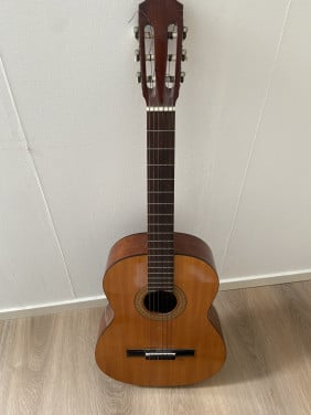 Snaarinstrument