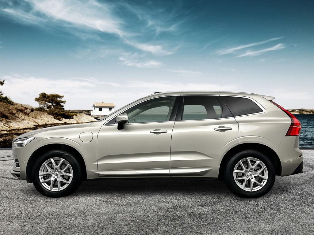 Volvo XC60 t8 390pk recharge momentum|