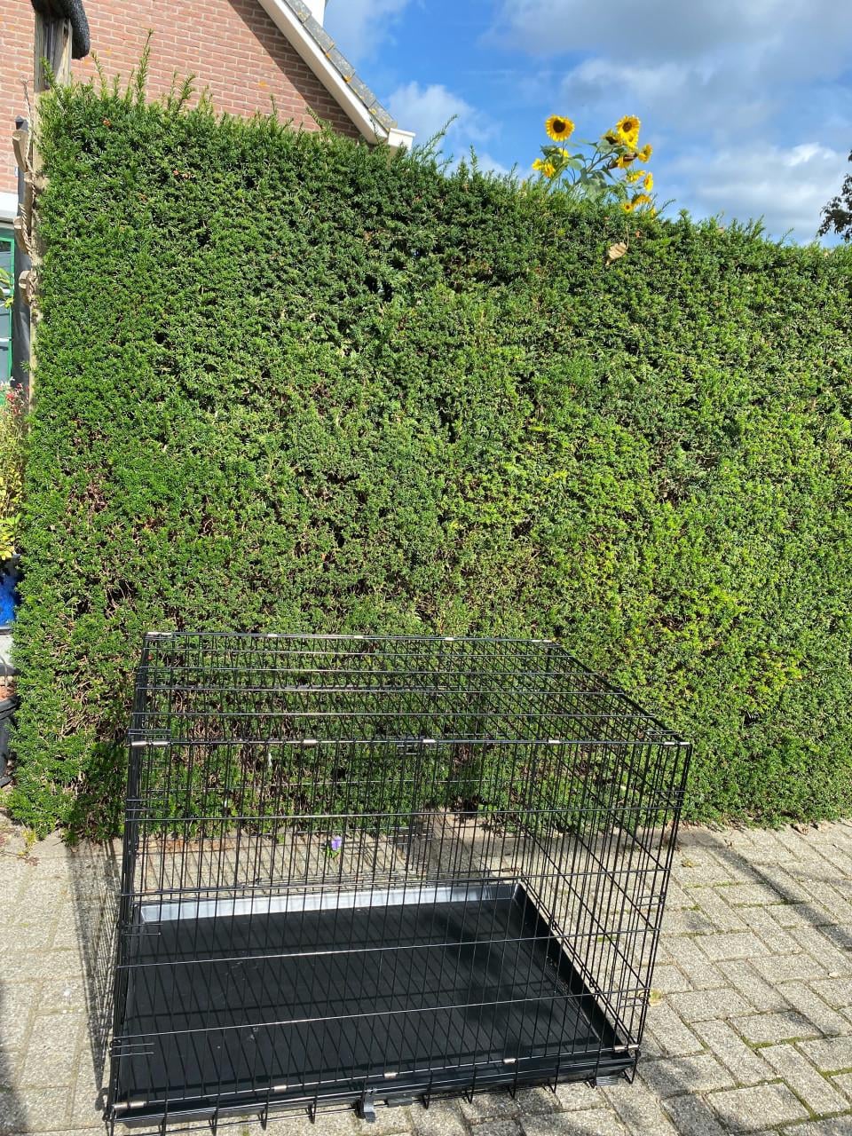 Grote hondenbench