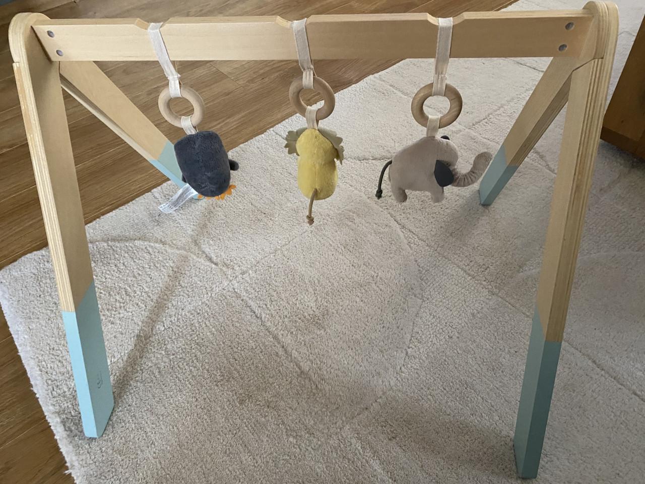 Little Dutch- Babygym